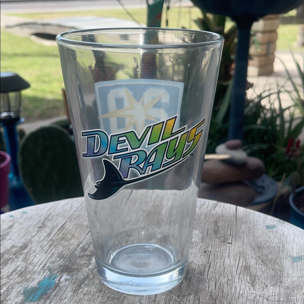 Tampa Bay Devil Rays Logo Pint Glass rare